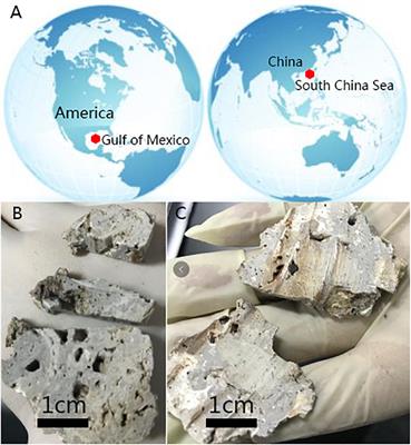 Deep-Sea Carbonates Are a Reservoir of Fossil Microbes Previously Inhabiting Cold Seeps